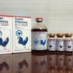 Một số loại thuốc gà đá cần thiết sư kê nên biết
